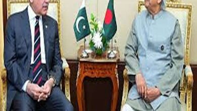 bangladeshi-pakistani