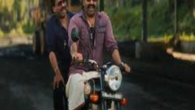 Bha bha ba box office prediction