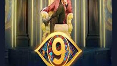 Bigg boss telugu 9 grand finale date
