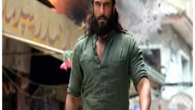 Day 11 box office collection for dhurandhar