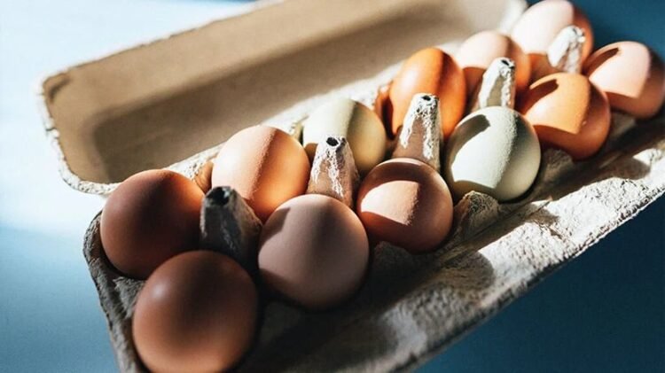 Eggs are safe to eat