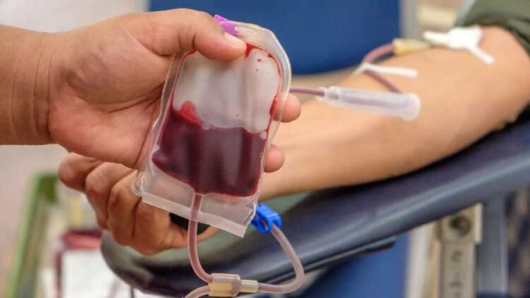 Jharkhand high court