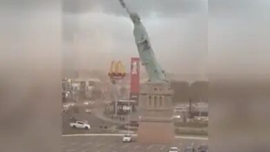 Statue of liberty replica topples viral video