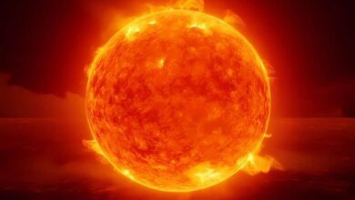 Sun transit in sagittarius