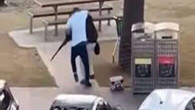 Sydney bondi beach shooting