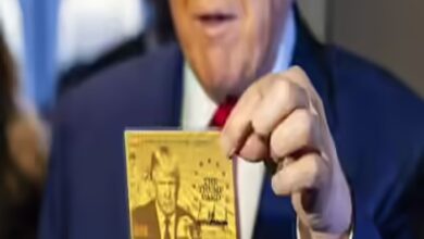 Trump gold card news