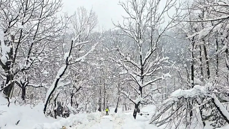 Heavy snowfall and avalanche alerts issued for uttarakhand’s high-altitude districts