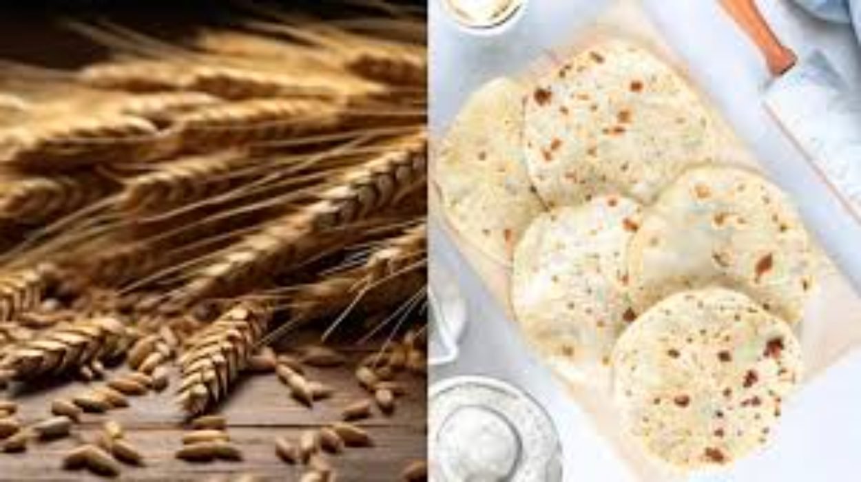 Health benefits of different flours the ultimate guide to healthy rotis which flour is best for your health goals