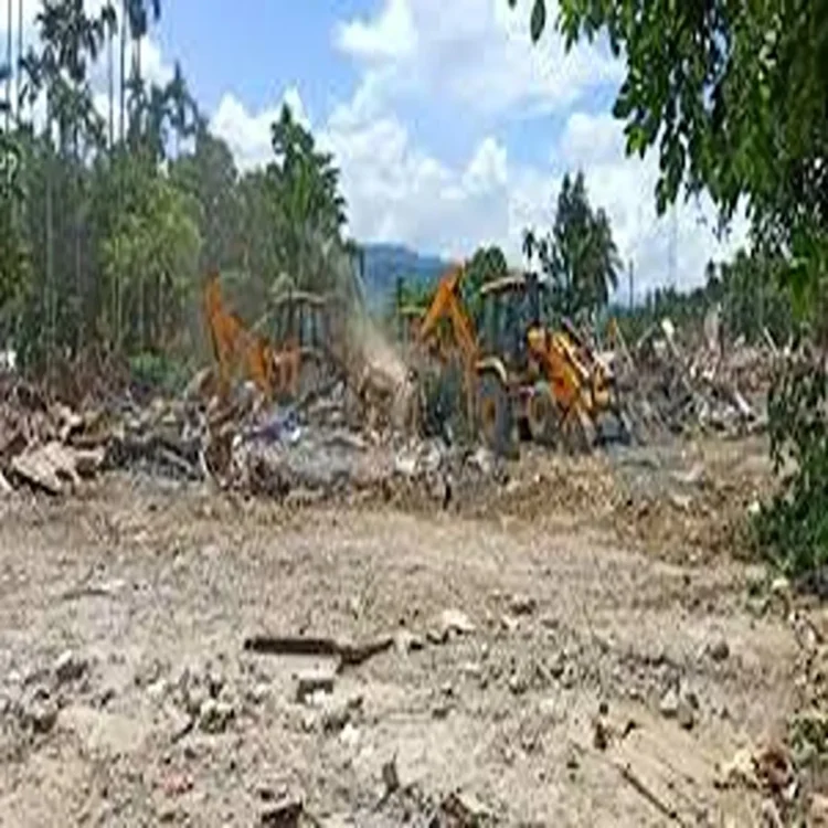 Assam forest land eviction drive