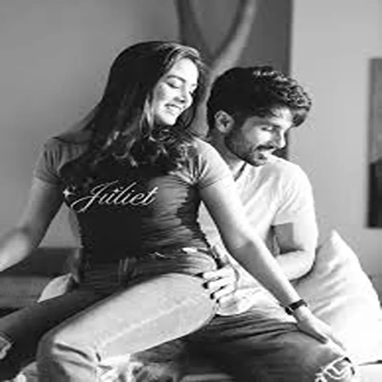 Bollywood mira cheers shahid romeo