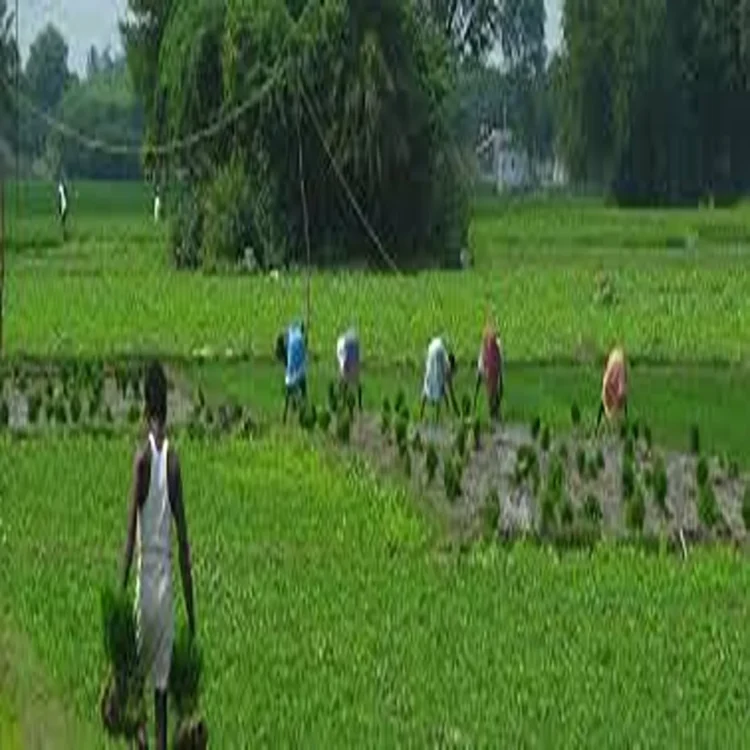 Climate change threatens india food security