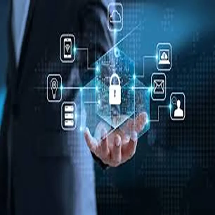 Government urges online platform accountabilit