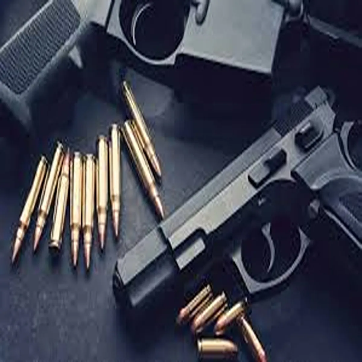 Armsseizure joint raid exposes illegal gun