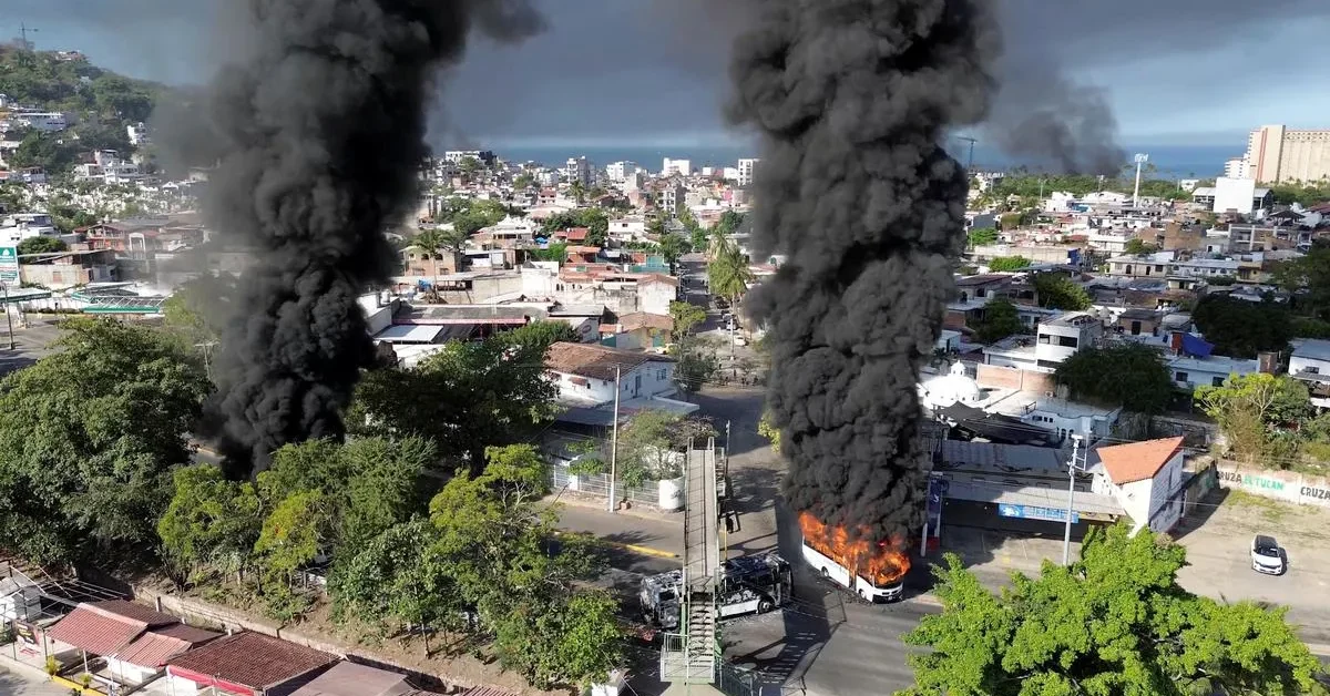 Cartel india issues advisory after mexico