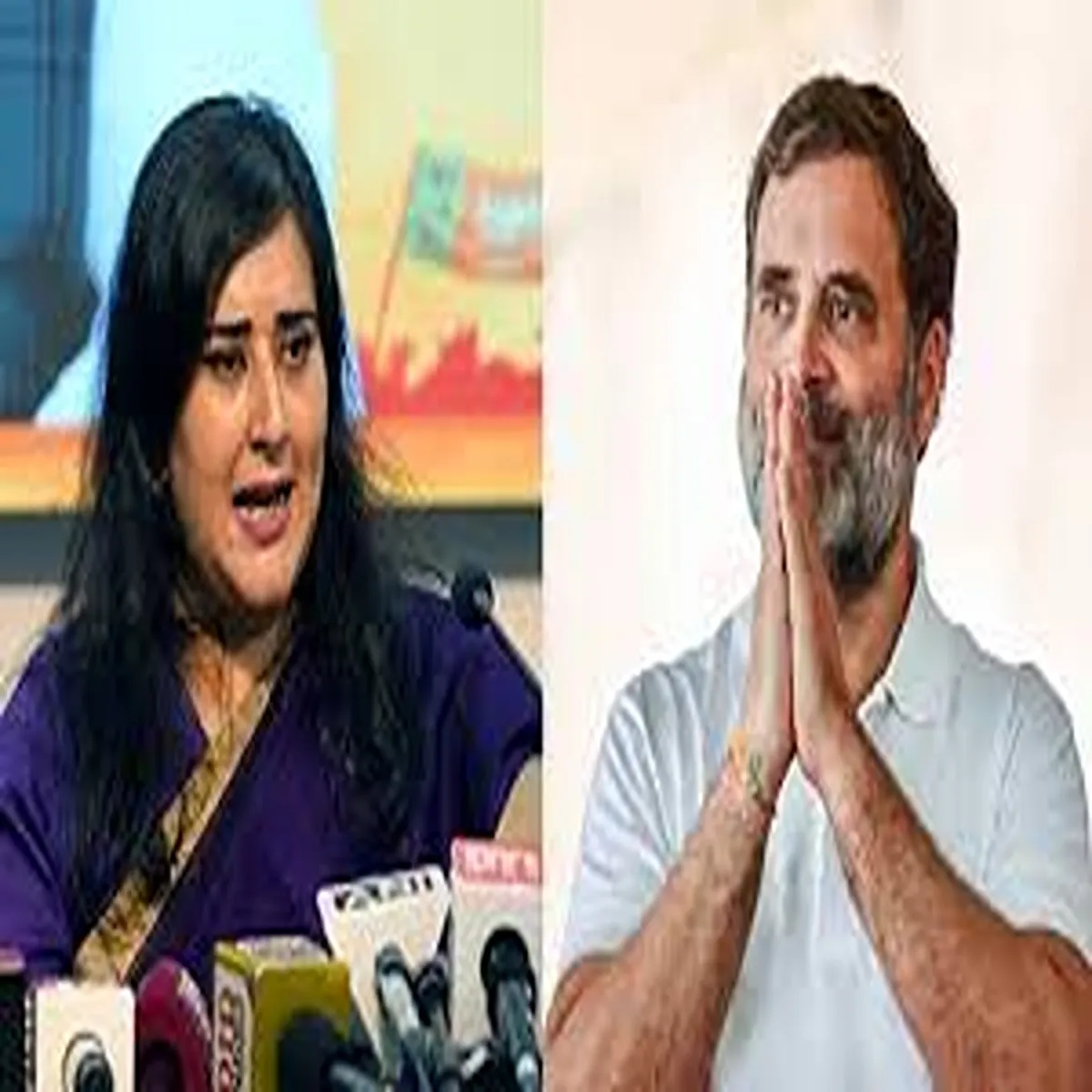 Politics bjp leaders respond india bloc