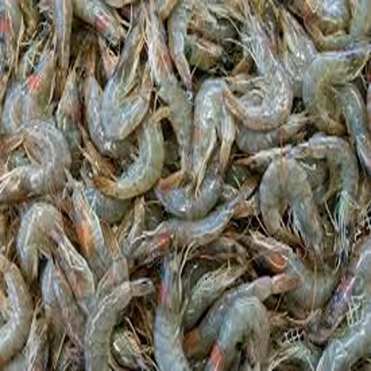 Louisiana lawmaker shrimp trade impact