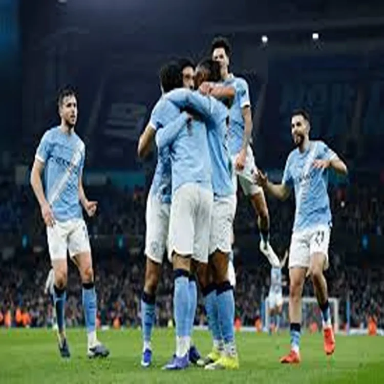 Man city beat newcastle reach final