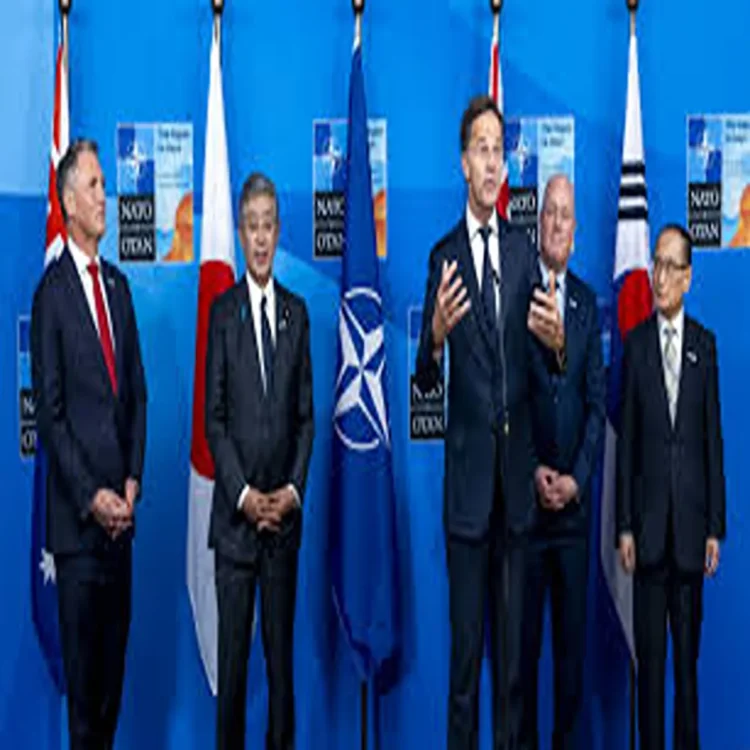 Nato rutte south korea security ties