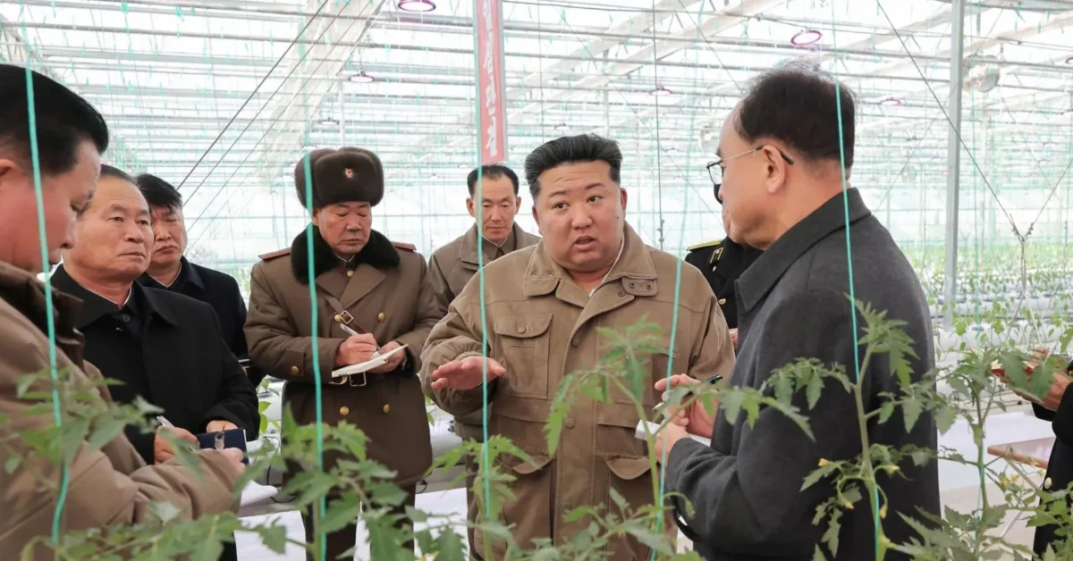 Agriculture - – - north - korea - opens - major - greenhouse - farm