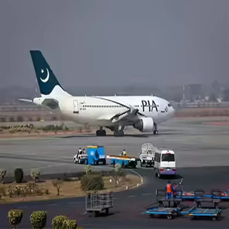 Pia privatisation public losses