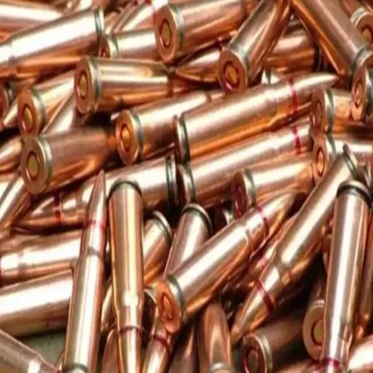Ammunition retired soldier booked after cartridges
