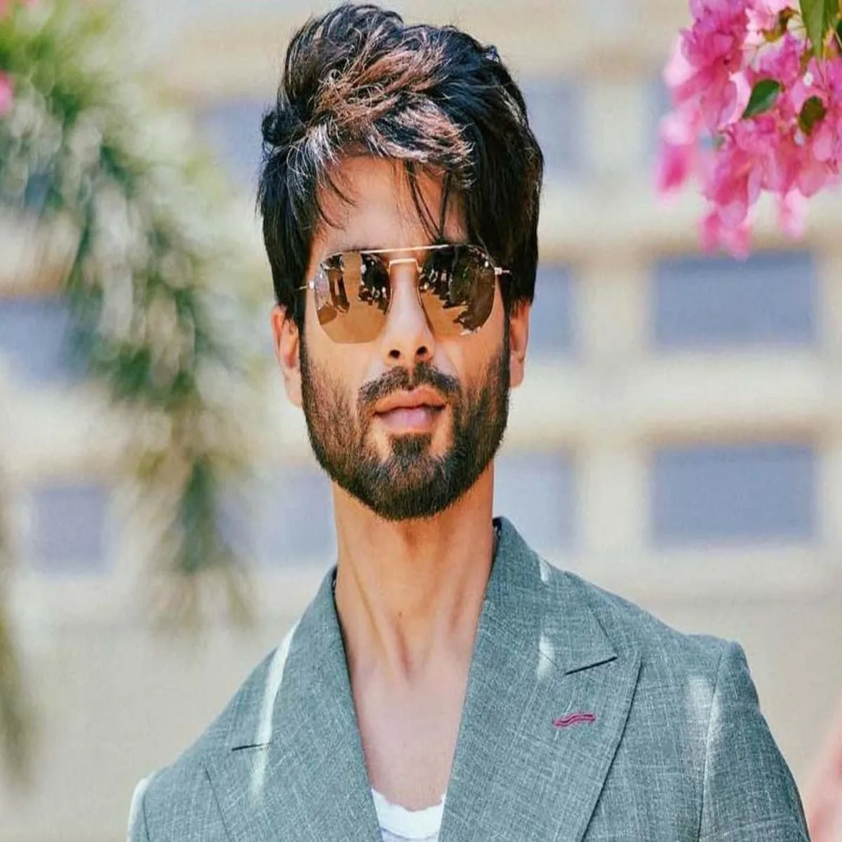Box office analyst dismisses talk shahid