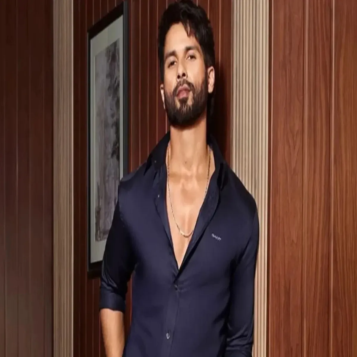 Bollywood shahid kapoor plans break after