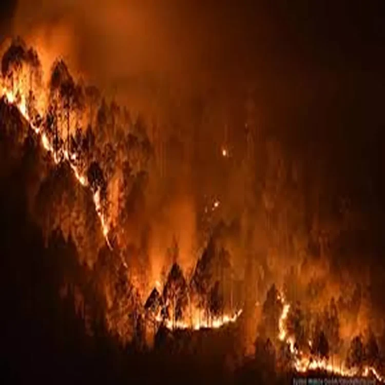 State mobilises fire warriors