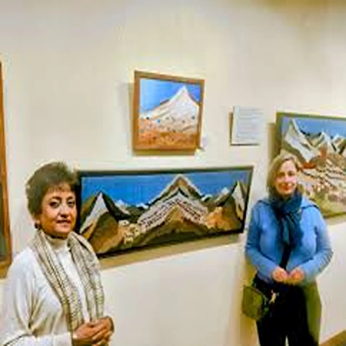 Artexhibition sunita bali weaves himalayan stories