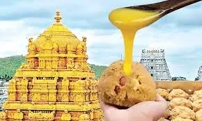 Tirumala - – - andhra - pradesh - leaders - clash - over - laddu