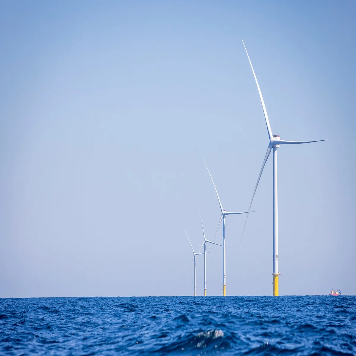 Energy trump moves halt expansion wind