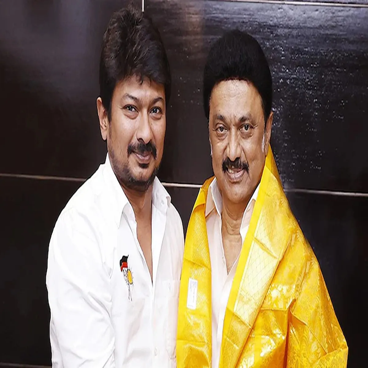 Elections udhayanidhi stalin projects stalin national