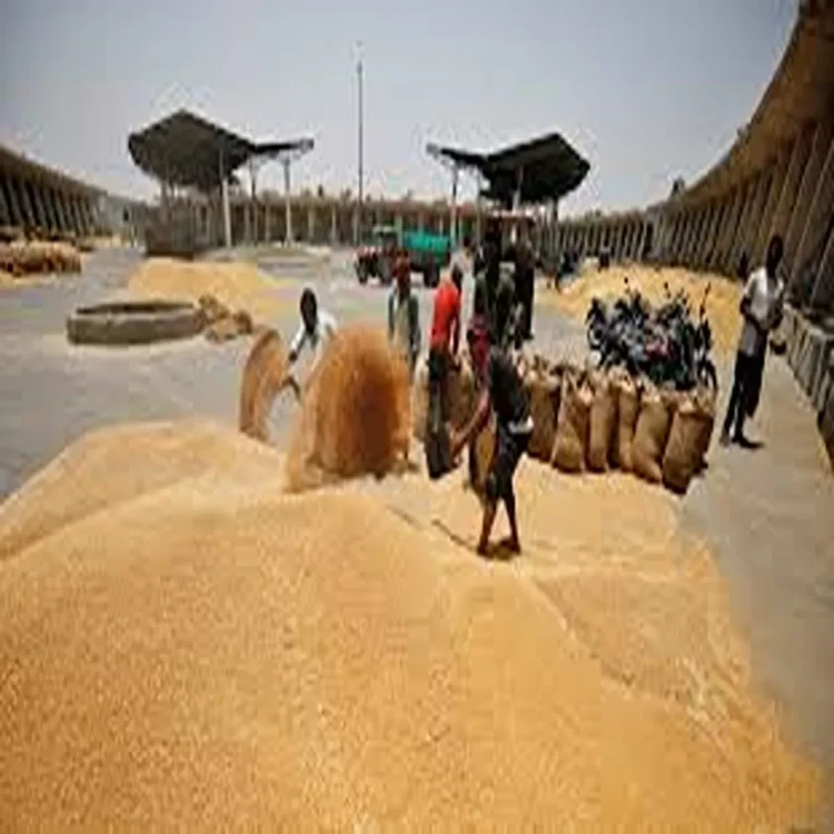 Wheat exports resume after four year halt