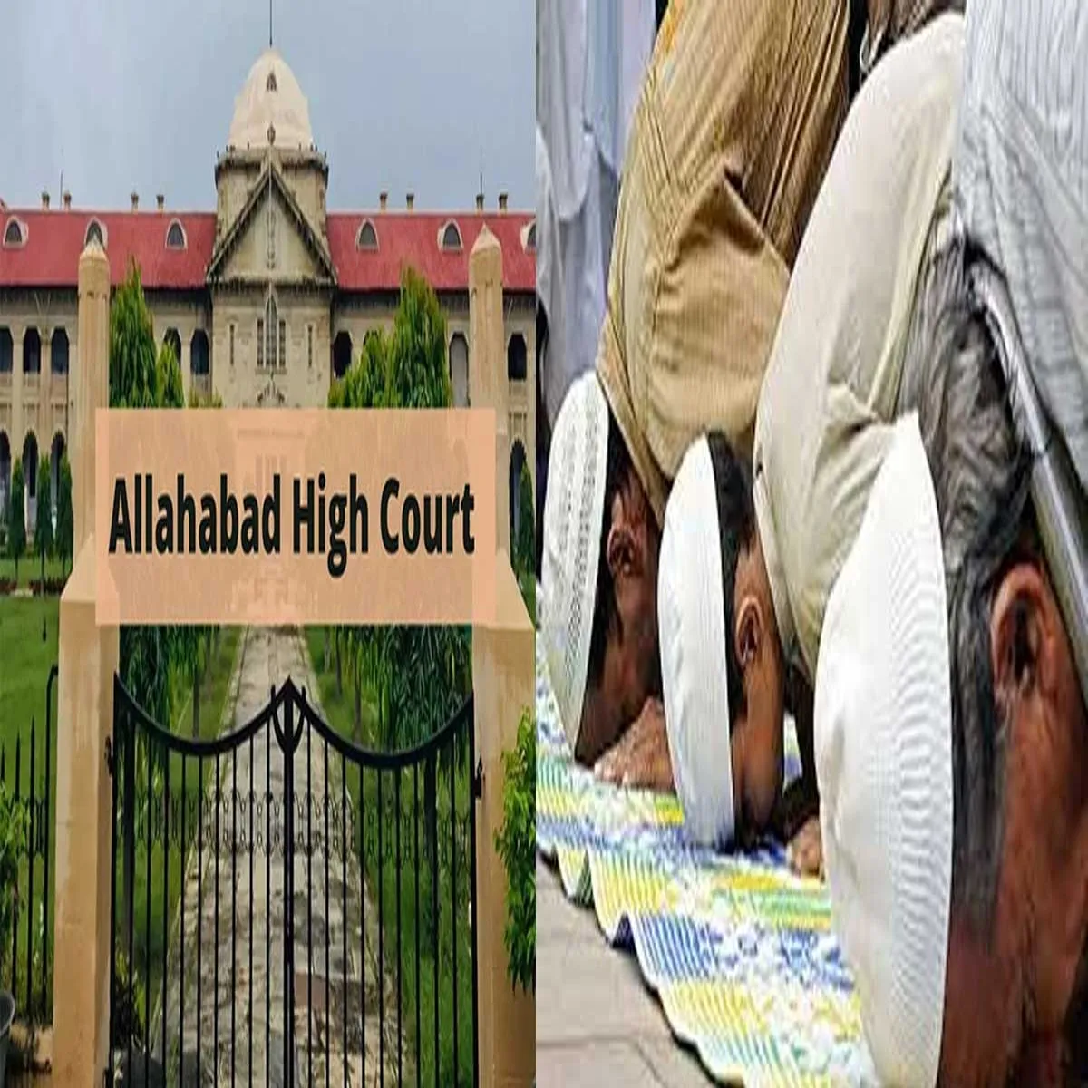 Courtorder allahabad high court rebukes officials