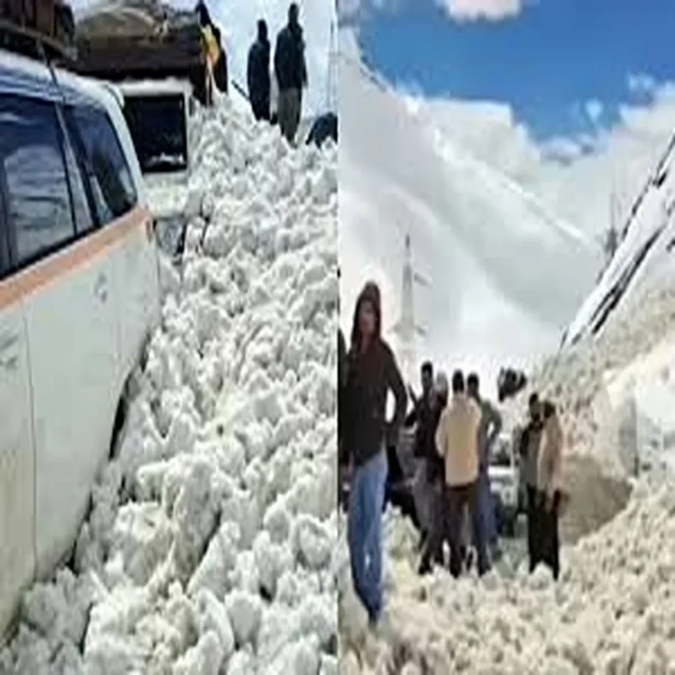 Avalanche rescue efforts zojila pass
