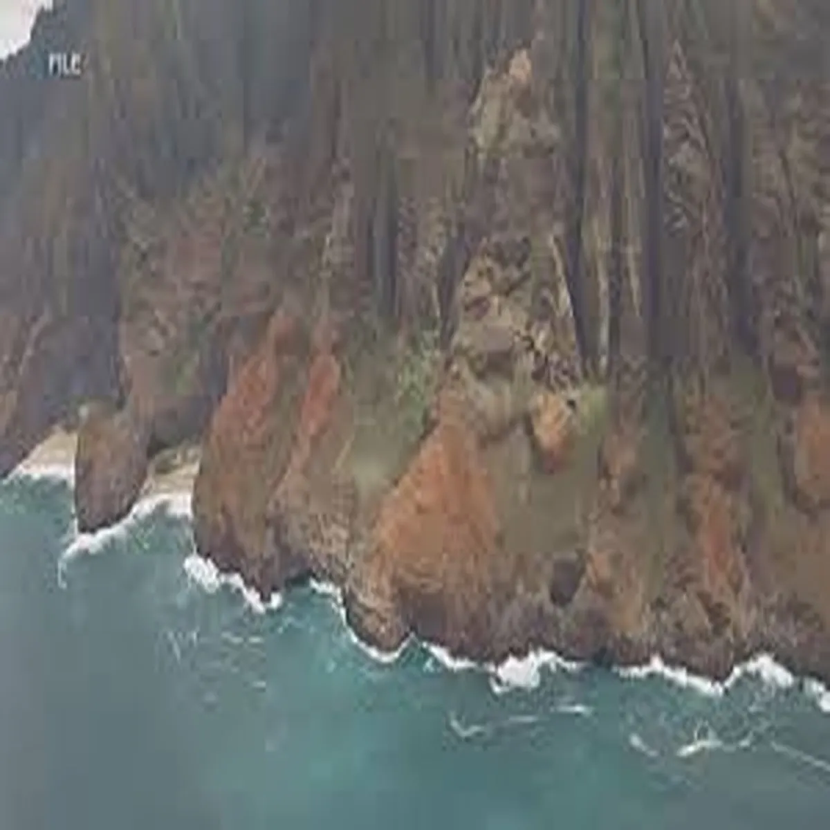 Aviation helicopter crash kauai beach leaves