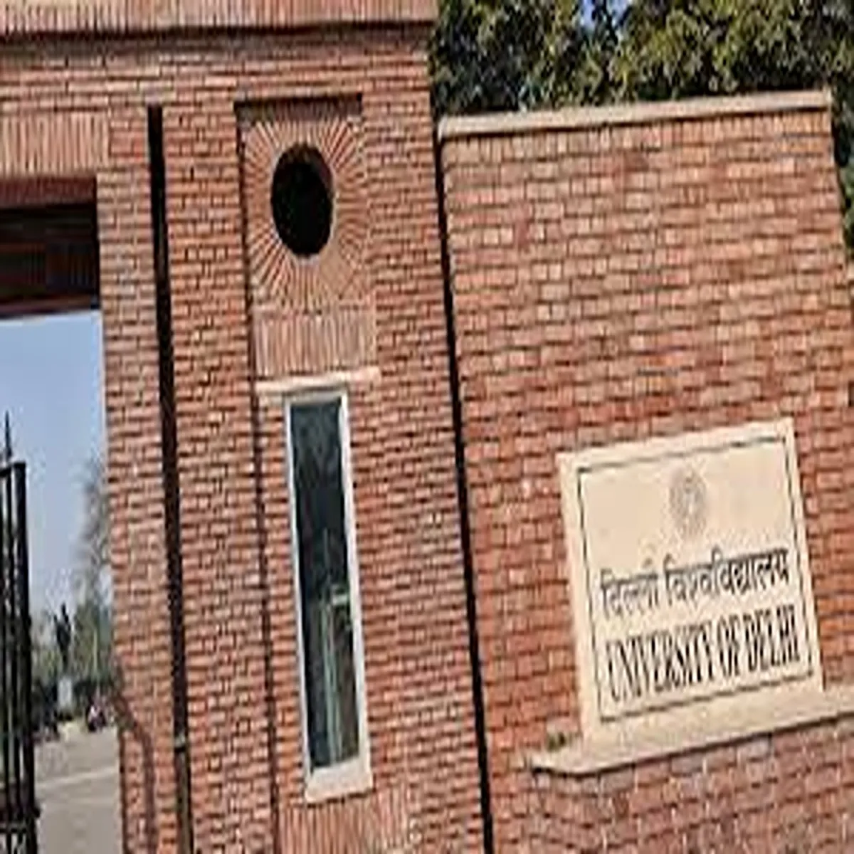 Protests delhi high court questions ban