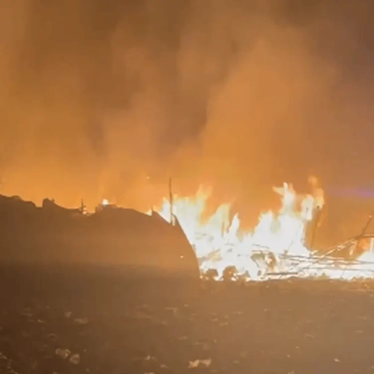 Delhi slum fire near fish market