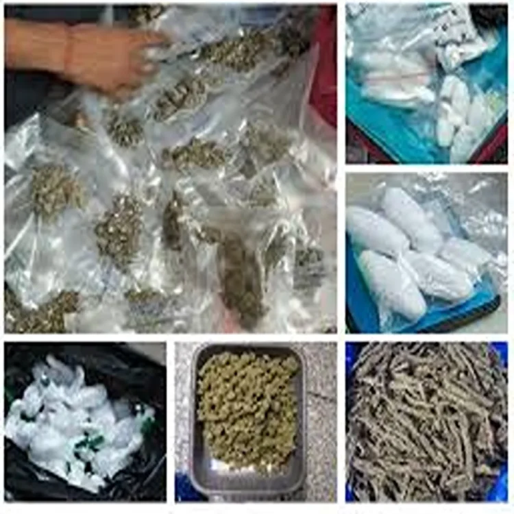 Drug bust airport cannabis smuggling