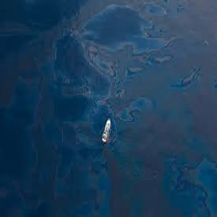 Gulf oil spill protected zones
