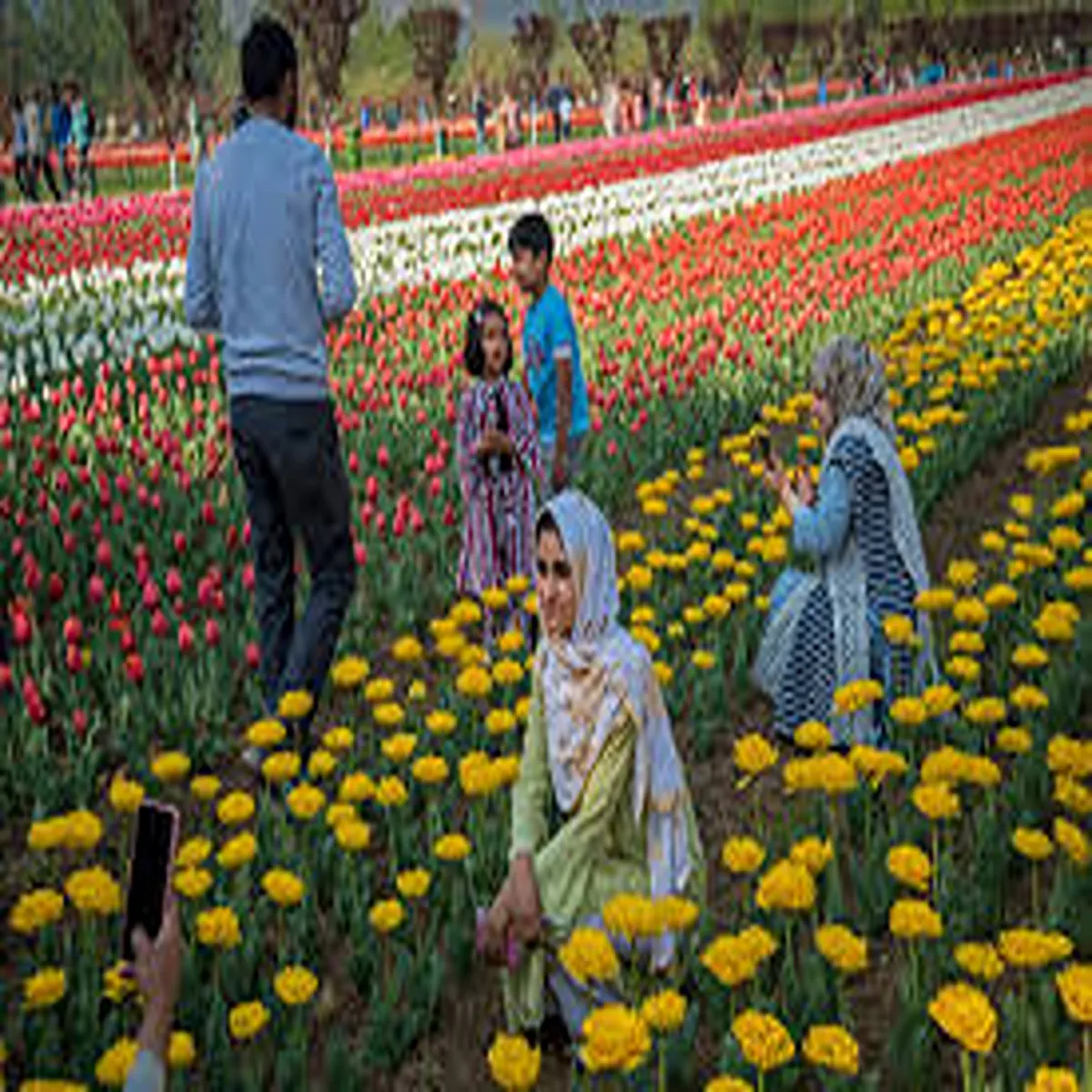 Tourism kashmir tourism faces uncertainty spring
