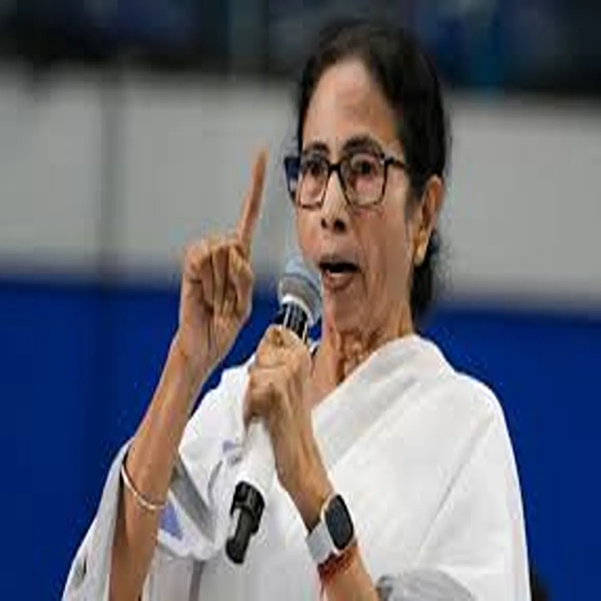 Politics mamata banerjee highlights role rajasthani