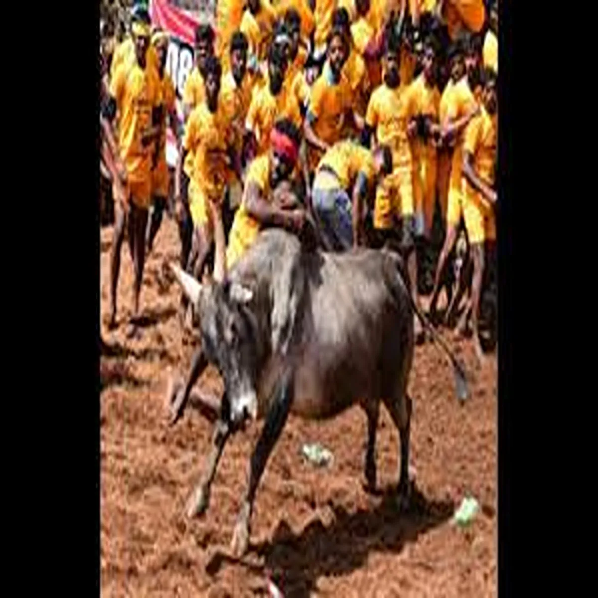 Accident two lives lost during manjuvirattu