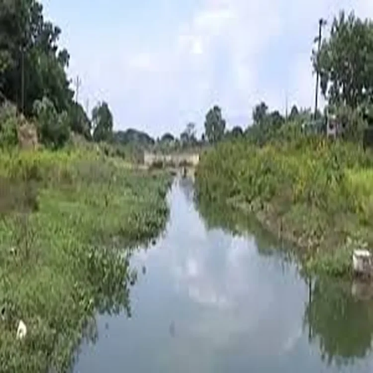 Petanala drainage renovation delay