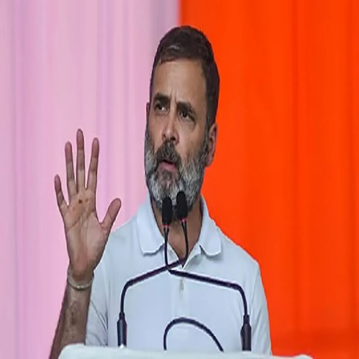 Socialjustice rahul gandhi questions representation dalits