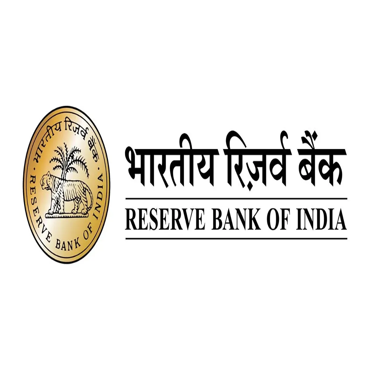 Digitalpayments rbi draft proposal aims strengthen