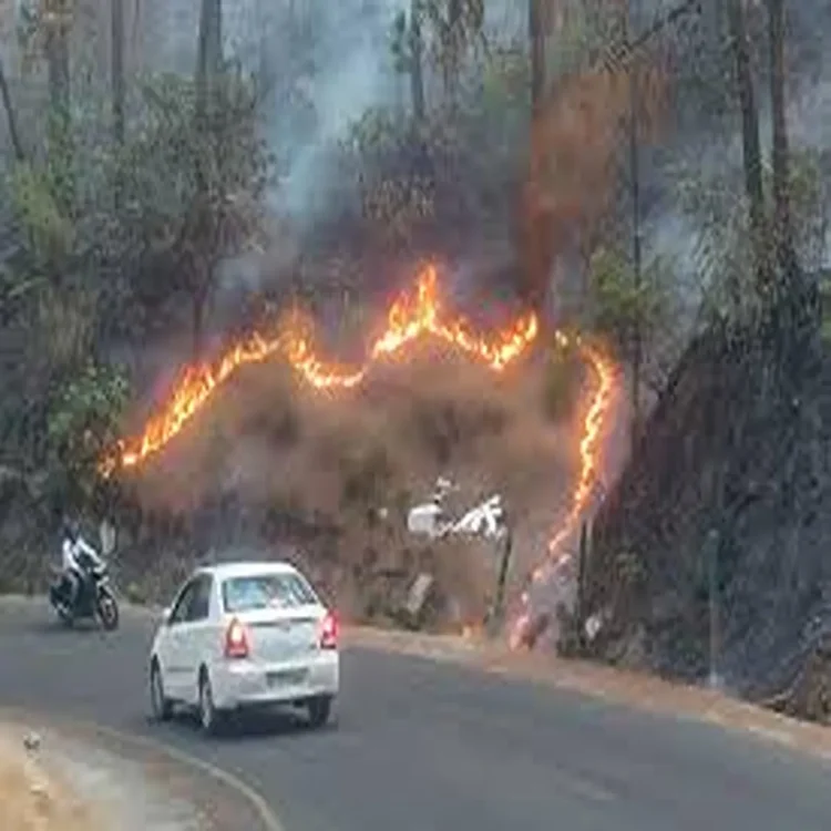 Tamil nadu forest fire response vehicles
