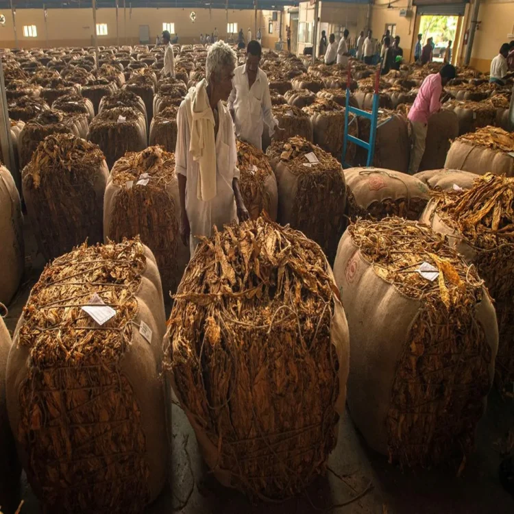 Tobacco farmers demand higher price