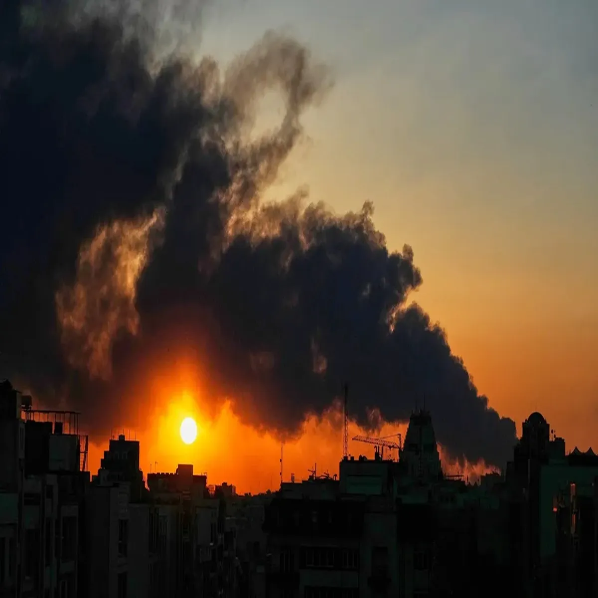 Trp government orders temporary halt news