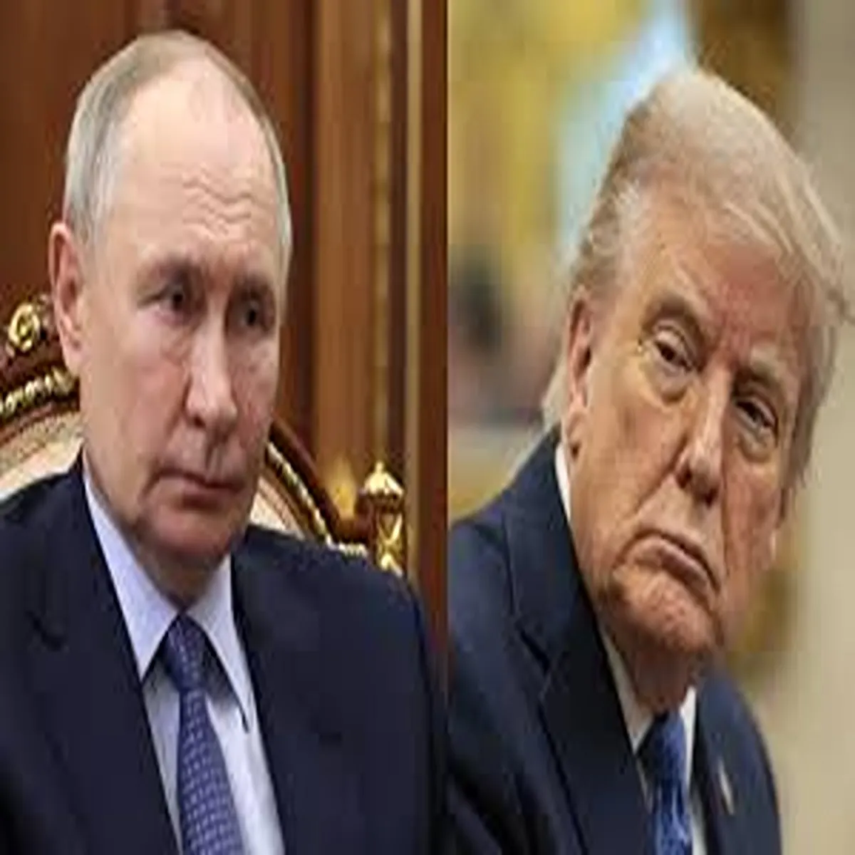 Trump trump putin discuss ukraine war